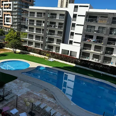 Bright Withpool *